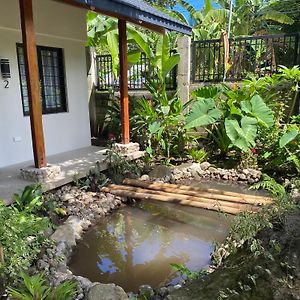 Under The Mango Tree At Klipp Residence